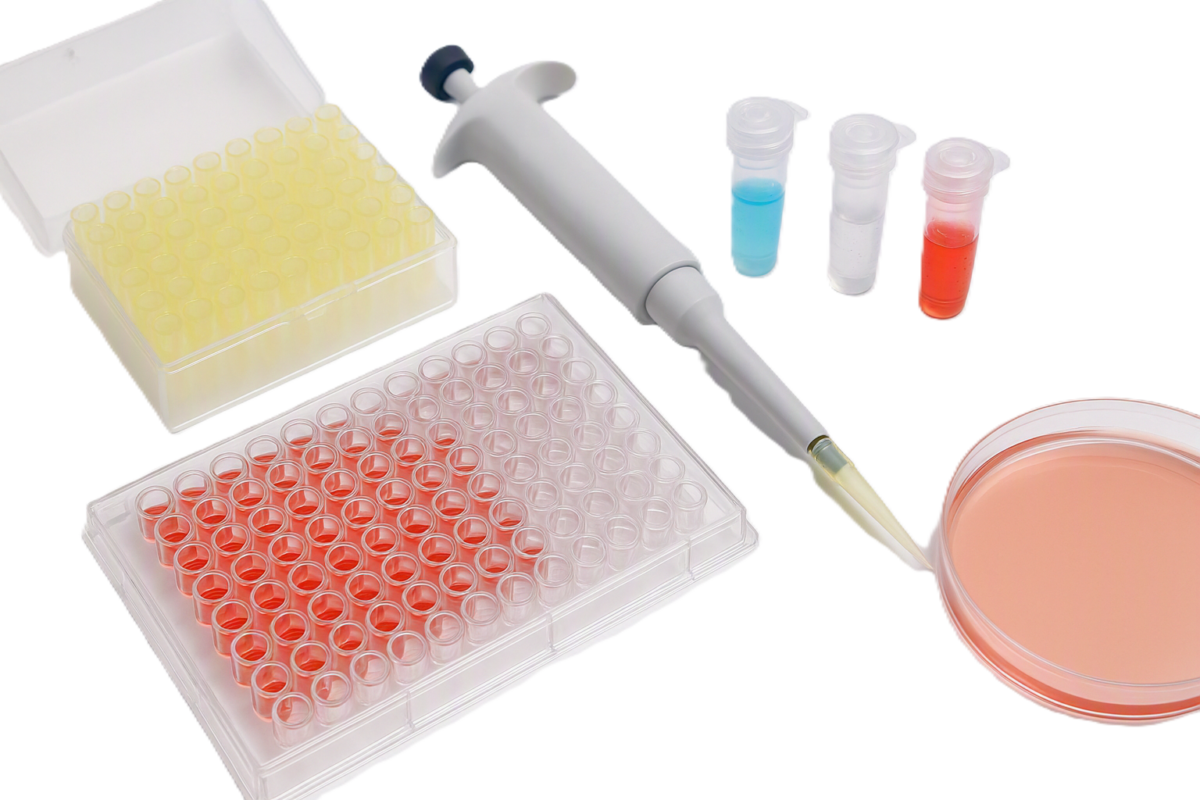 Bioassay Kits